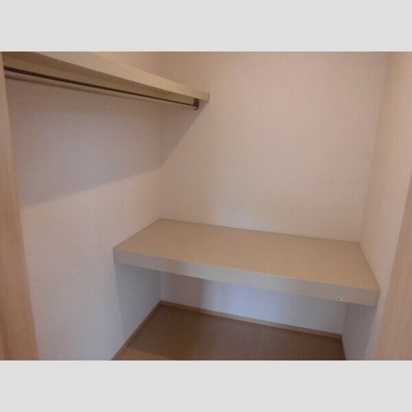 収納 (ウォークインクローゼット)