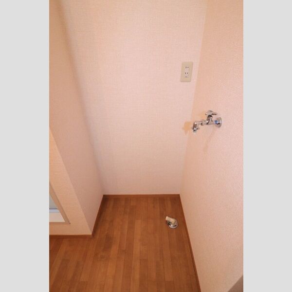 洗面所 (室内洗濯機置場)