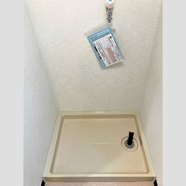 洗面所 (室内洗濯機置場)