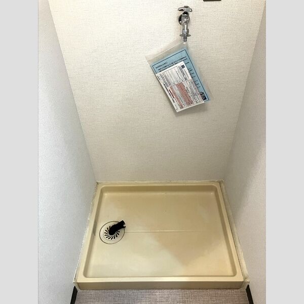 洗面所 (室内洗濯機置場)