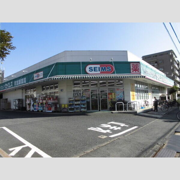 現地周辺 (ドラッグストアセイムス南加瀬店(300m))