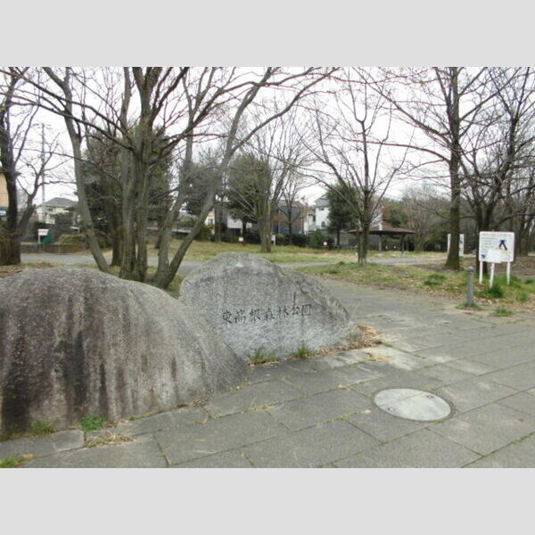 現地周辺 (東高根森林公園)
