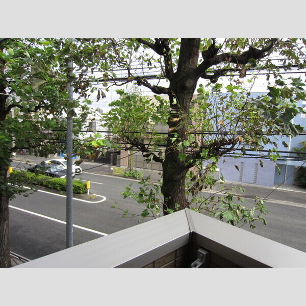 現地周辺 (バルコニーからの眺望)