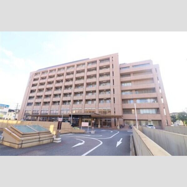 現地周辺 (医療法人社団葵会AOI国際病院)