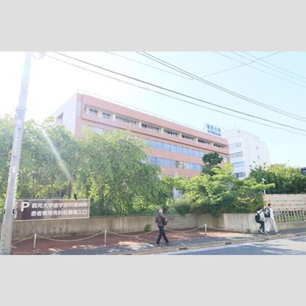 現地周辺 (鶴見大学歯学部附属病院611m)