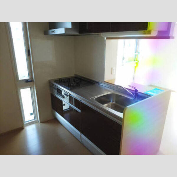 キッチン (201 対面キッチン)