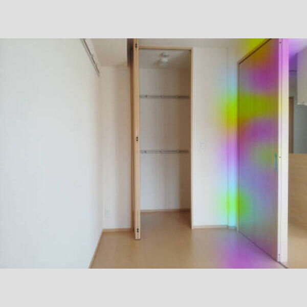 収納 (201 洋室 ワンステップクローゼット)