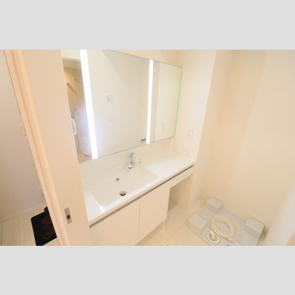 洗面所 (洗髪洗面化粧台)