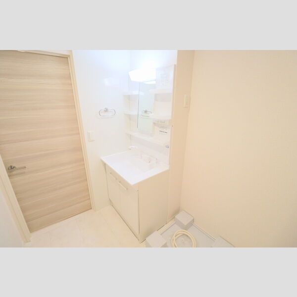 洗面所 (洗髪洗面化粧台)