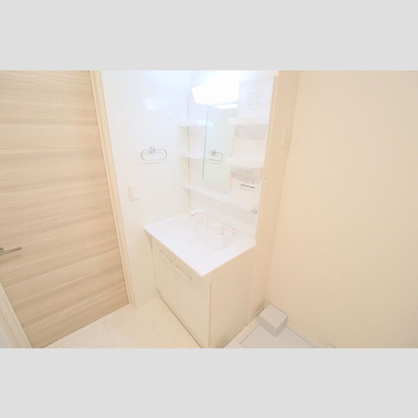 洗面所 (洗髪洗面化粧台)