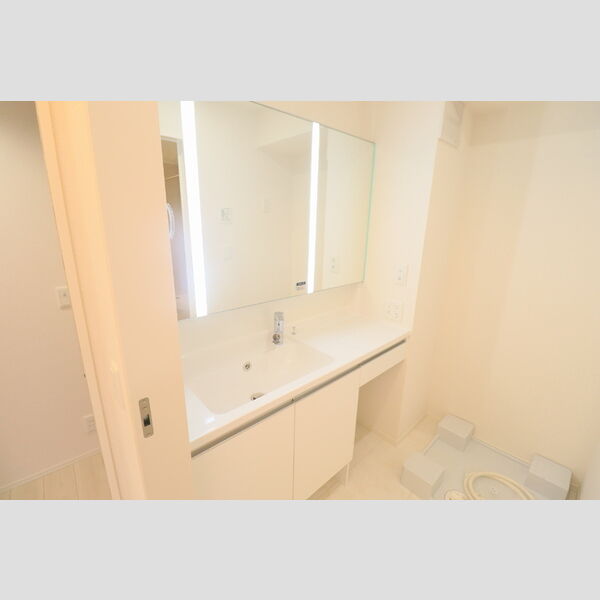 洗面所 (洗髪洗面化粧台)