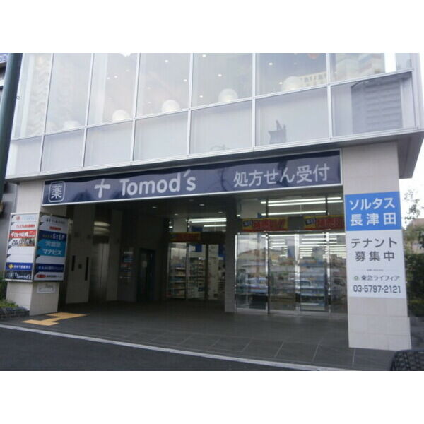現地周辺 (Tomod‘s(薬局))