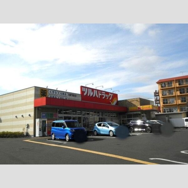 現地周辺 (ツルハドラッグ川崎下麻生店)