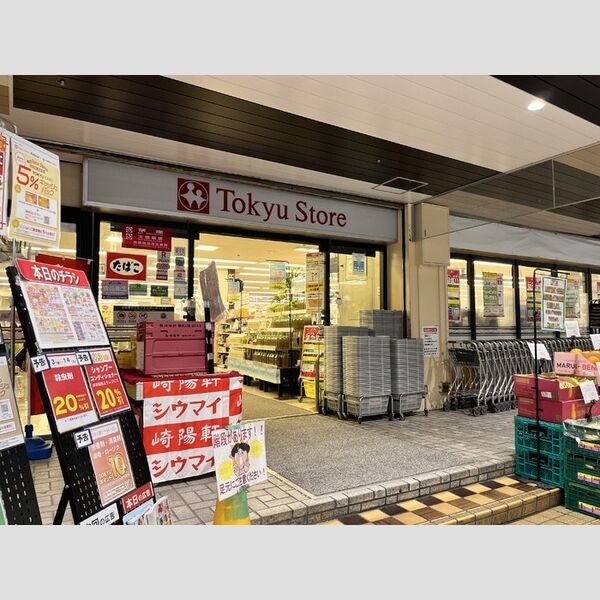 現地周辺 (東急ストア 菊名店)