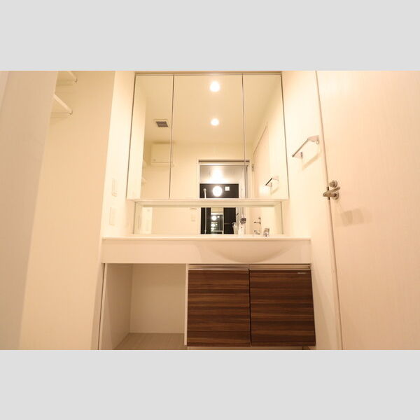 洗面所 (洗髪洗面化粧台)