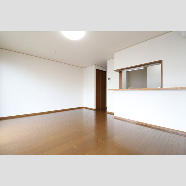 居室・リビング (リビング10.8帖)