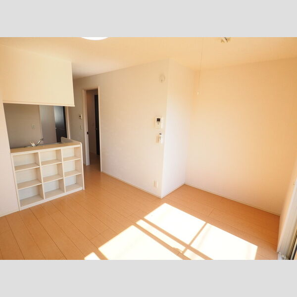 居室・リビング (LDK)