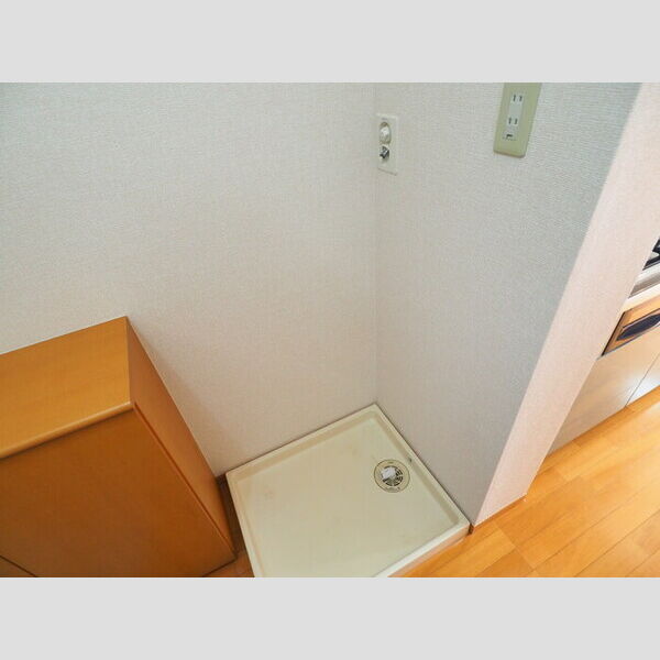 その他 (室内洗濯機置き場)