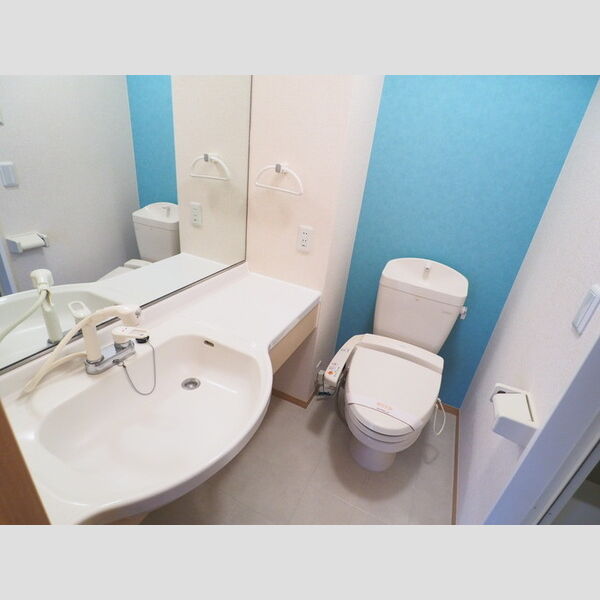 洗面所 (洗髪洗面化粧台・トイレ)