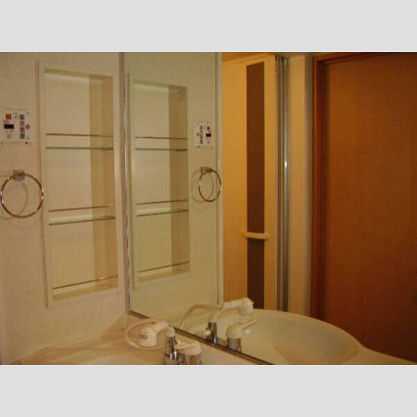 洗面所 (エスポワール202 洗髪洗面化粧台)