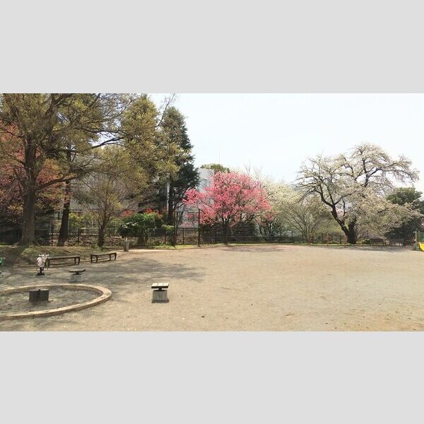 現地周辺 (ファミリーマート向かいにある常盤台第一公園に滑り台と砂場があります。)