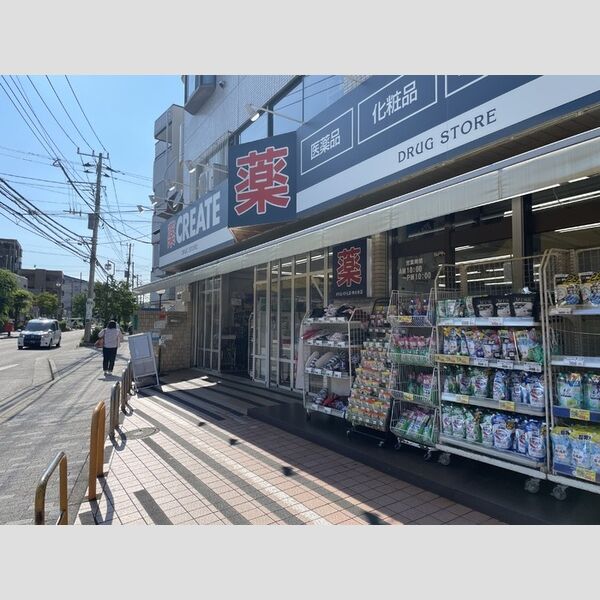 現地周辺 (クリエイトSD横浜神大寺店 550m)