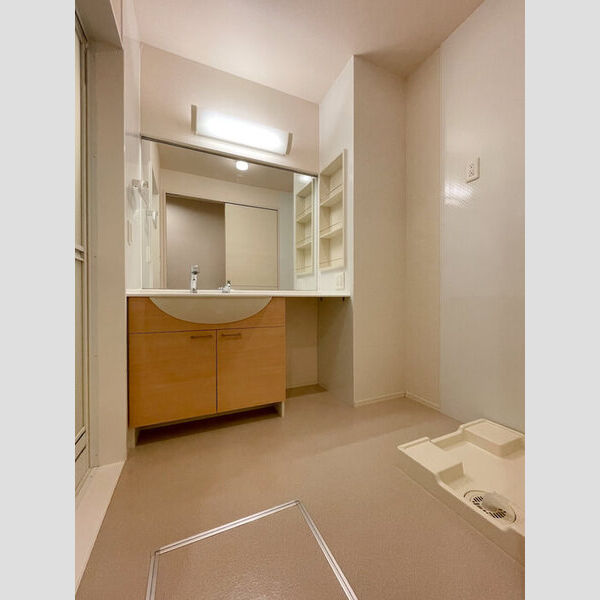 洗面所 (洗面脱衣所洗髪洗面化粧台&室内洗濯機置き場)