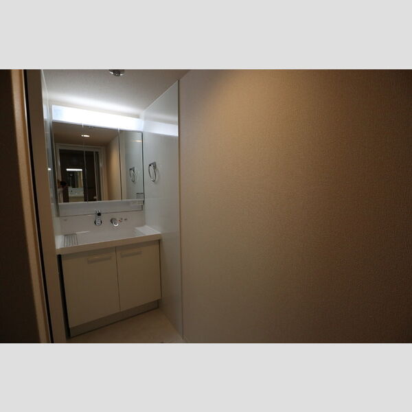 洗面所 (洗面所)
