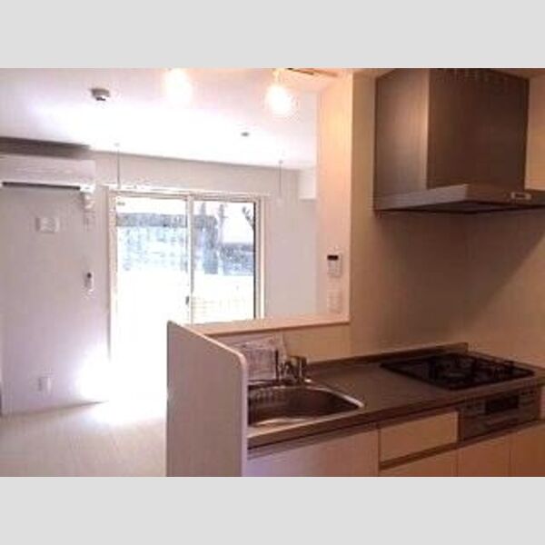 キッチン (LDK10帖)