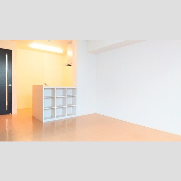 居室・リビング (キッチンカウンター収納があるリビング)