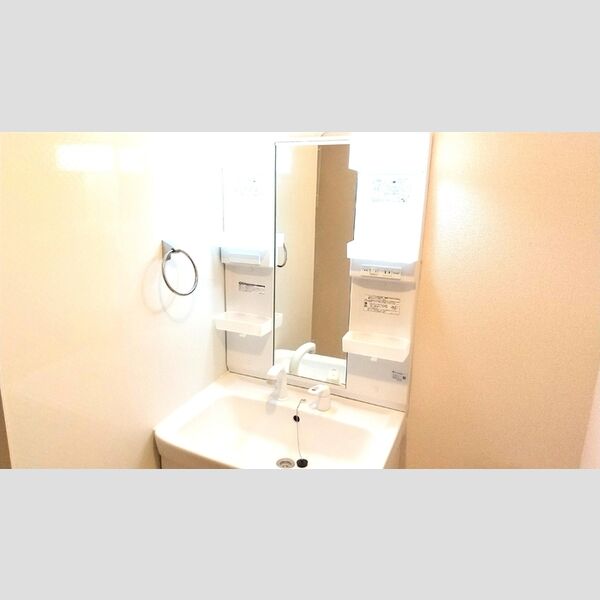 洗面所 (洗髪洗面化粧台)