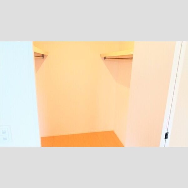 収納 (ウォークインクローゼット)