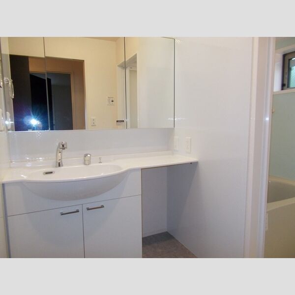 洗面所 (洗髪洗面化粧台)