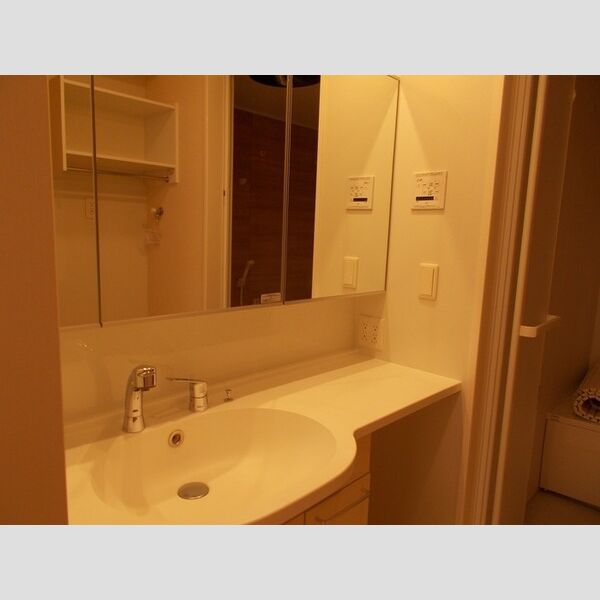 洗面所 (洗髪洗面化粧台)