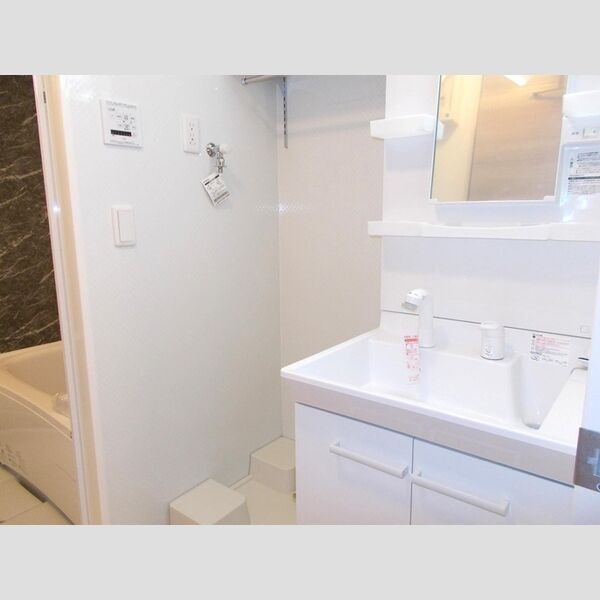 洗面所 (洗髪洗面化粧台)