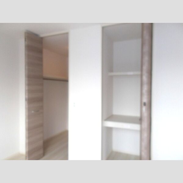 収納 (ウォークインクローゼット)