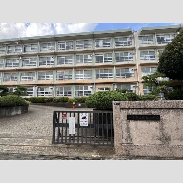 現地周辺 (平塚市立松延小学校)