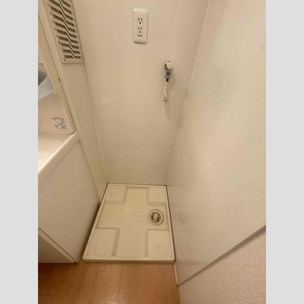 その他 (室内洗濯機置き場)