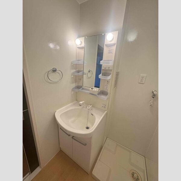 洗面所 (独立洗面台)