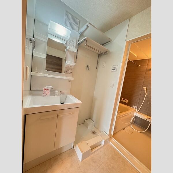 洗面所 (洗髪洗面化粧台)