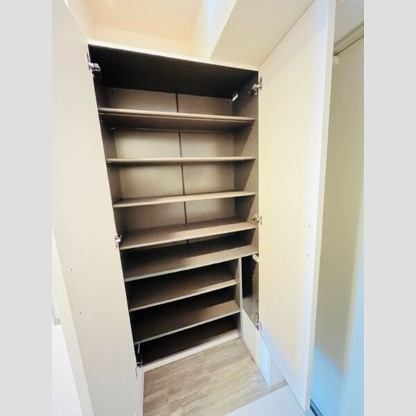 その他 (シューズボックス)