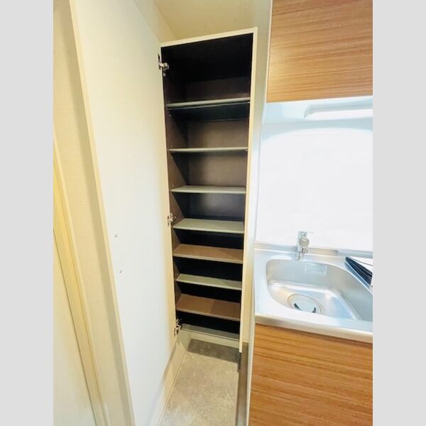 その他 (シューズボックス)