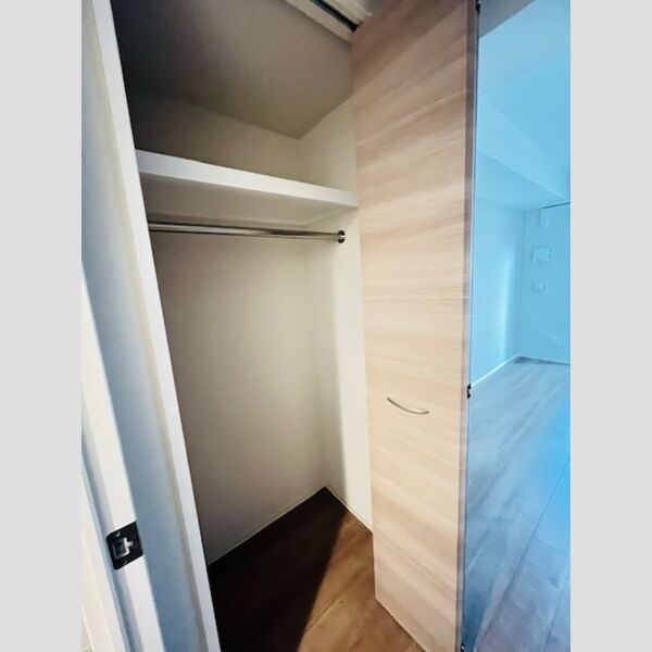 収納 (クローゼット)