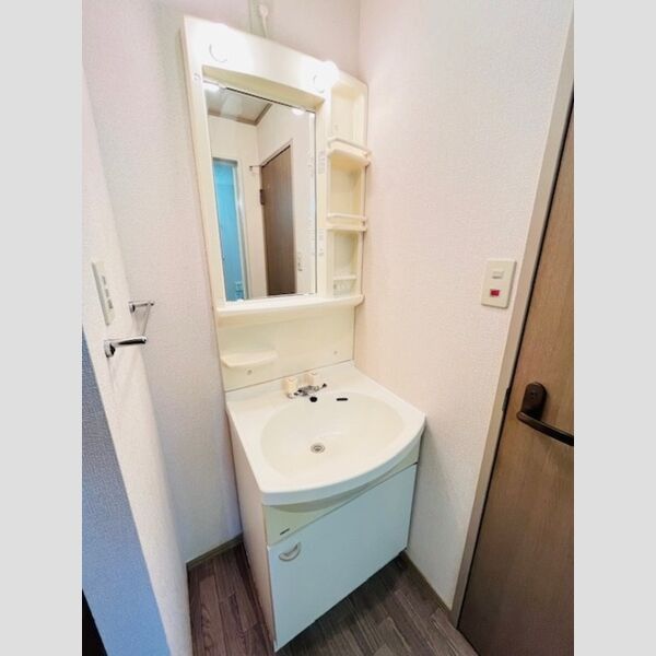 洗面所 (独立洗面台)