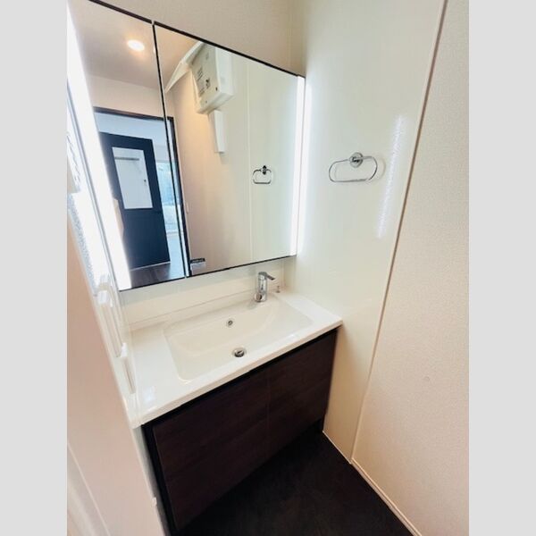 洗面所 (洗髪洗面化粧台)