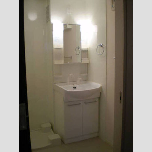 その他 (洗面化粧台)