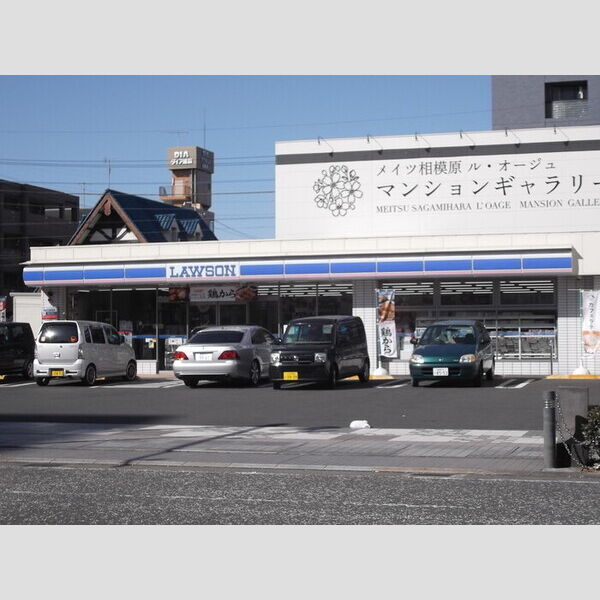 現地周辺 (ローソンさがみ夢大通り店)