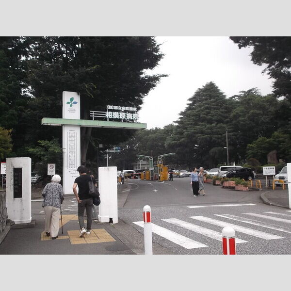 現地周辺 (国立病院機構相模原病院)