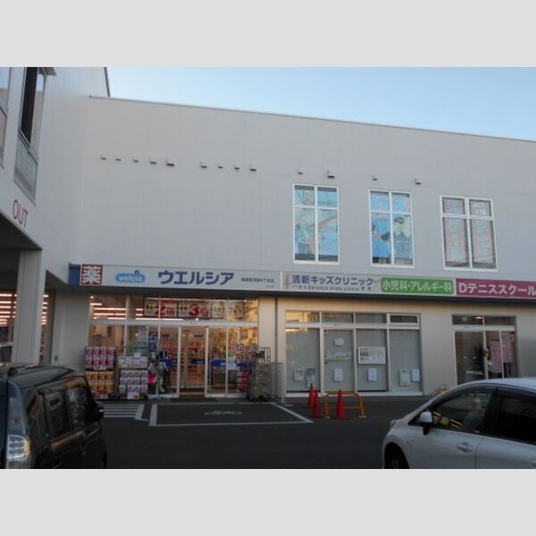 現地周辺 (ウエルシア相模原清新6丁目店)