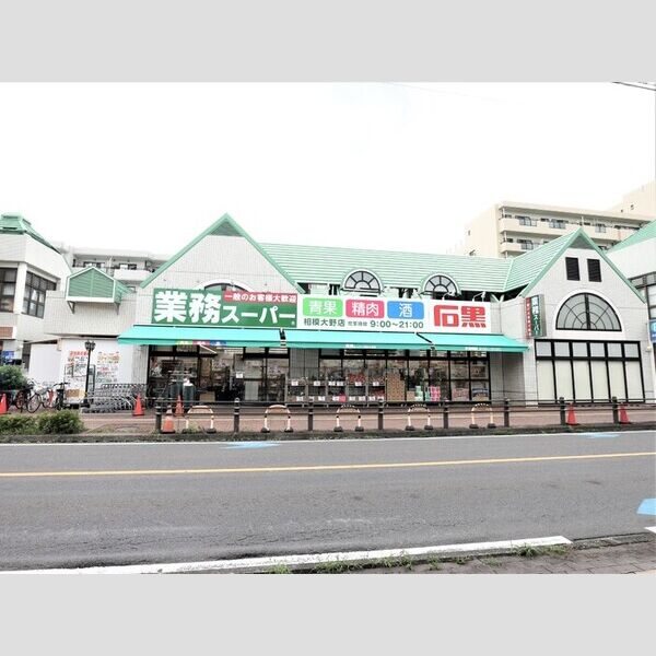 現地周辺 (業務スーパー相模大野店(424m))